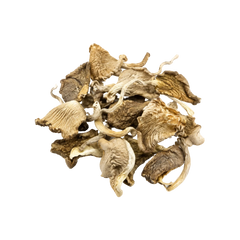 Oyster Mushrooms Dried Whole