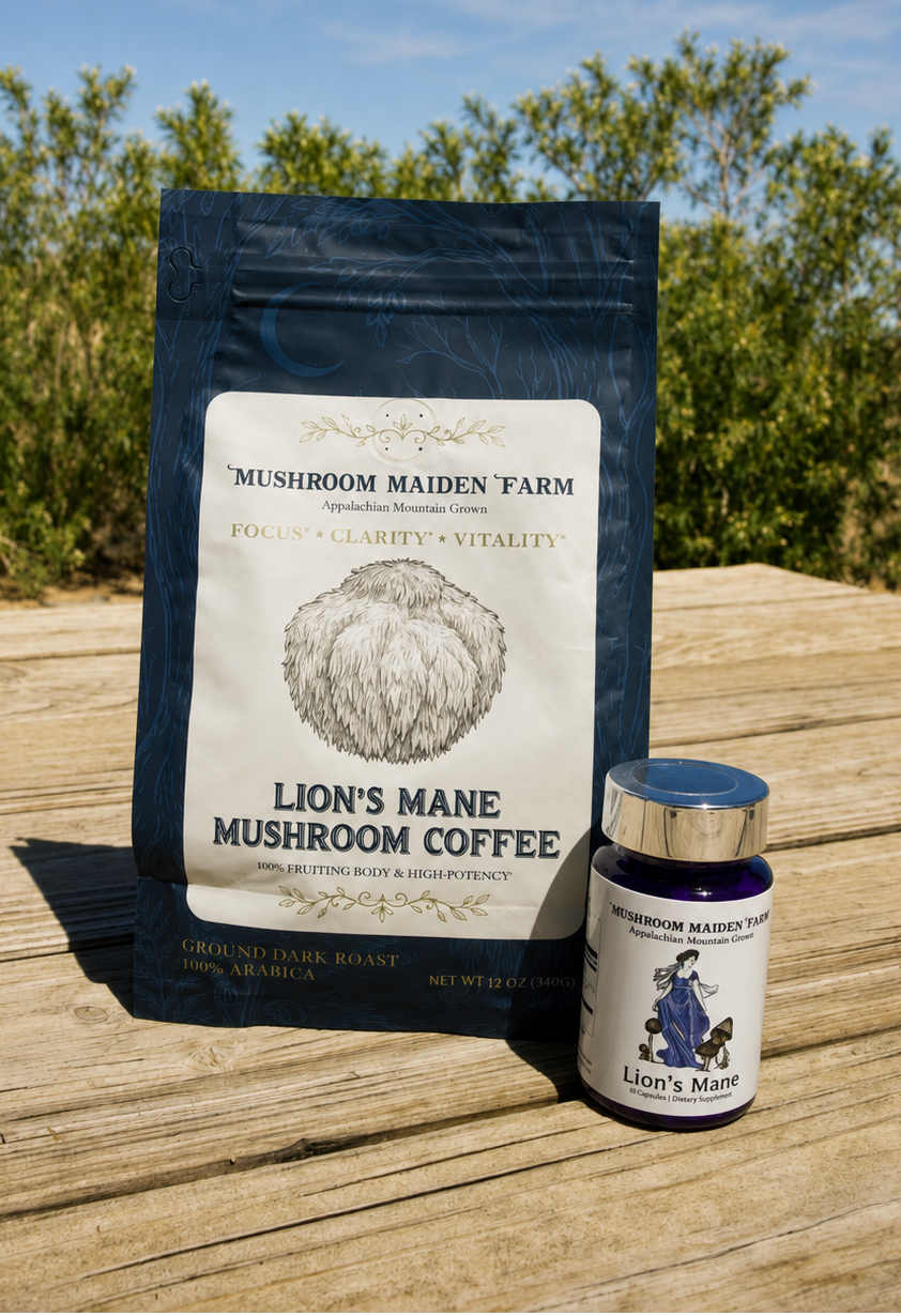 Morning Stack Lion's Mane Bundle