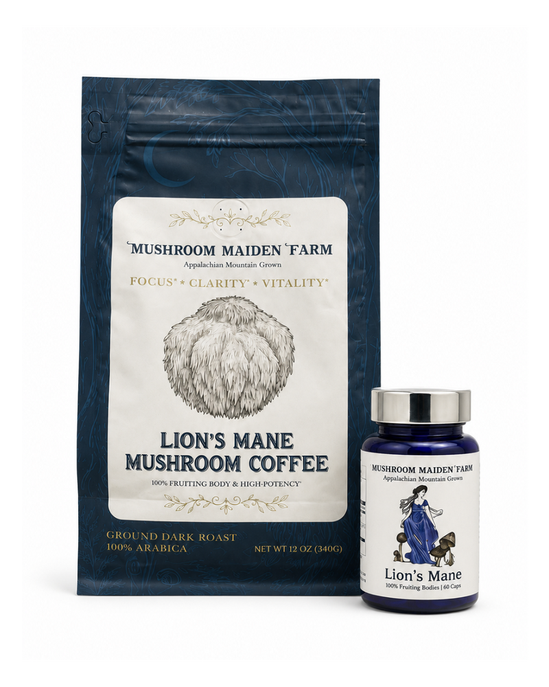 Morning Stack Lion's Mane Bundle