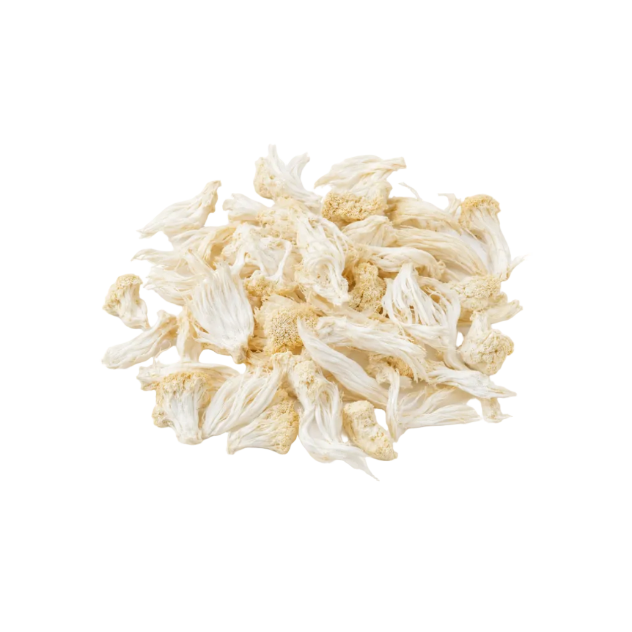 Whole Dried Lion’s Mane Mushrooms | 3 oz