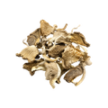 Whole dried oyster mushrooms from Mushroom Maiden Farm