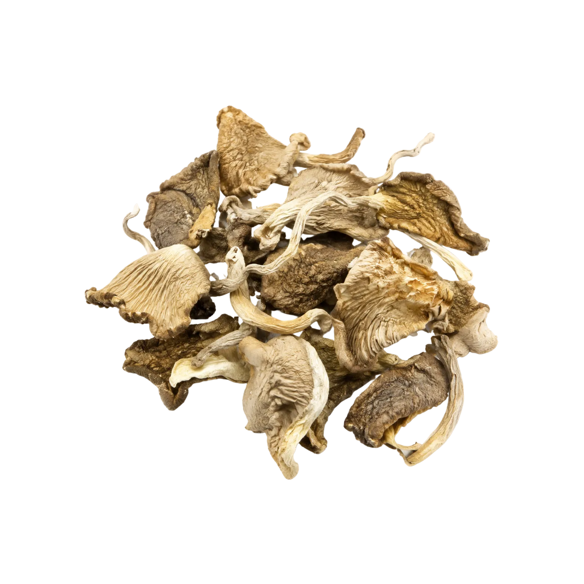 Whole dried oyster mushrooms from Mushroom Maiden Farm