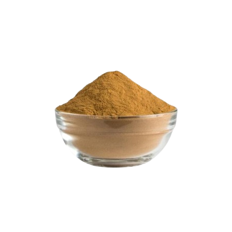 Reishi Mushroom Powder