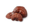 Whole dried Reishi mushrooms from Mushroom Maiden Farm